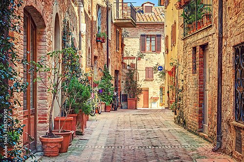 Италия, Тоскана. Старая улица с цветами