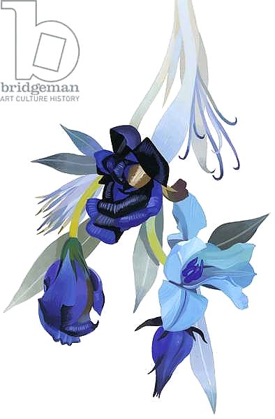 Flower drawn with blue tone