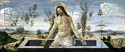 Постер Боттичелли Сандро (Sandro Botticelli) Predella panel depicting the Resurrection, from the St. Barnabas Altarpiece Постер Боттичелли Сандро (Sandro Botticelli) Predella panel depicting the Resurrection, from the St. Barnabas Altarpiece