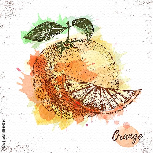 Акварельный апельсиновый эскиз