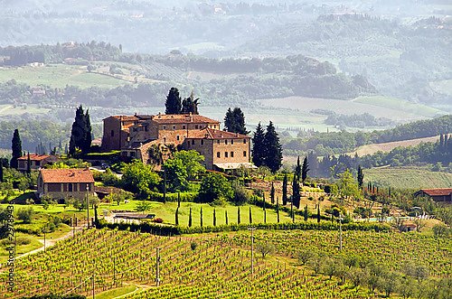 Италия. Виноградники Тосканы