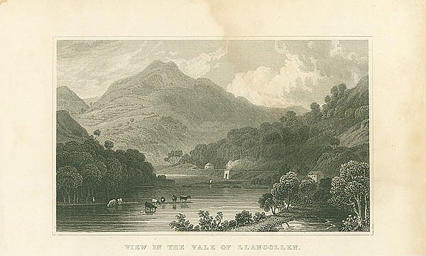 View in the Vale of Llangollen 1