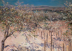 Постер Кайботт Гюстав (Gustave Caillebotte) Orchard with Flowering Apple Trees, Colombes Постер Кайботт Гюстав (Gustave Caillebotte) Orchard with Flowering Apple Trees, Colombes