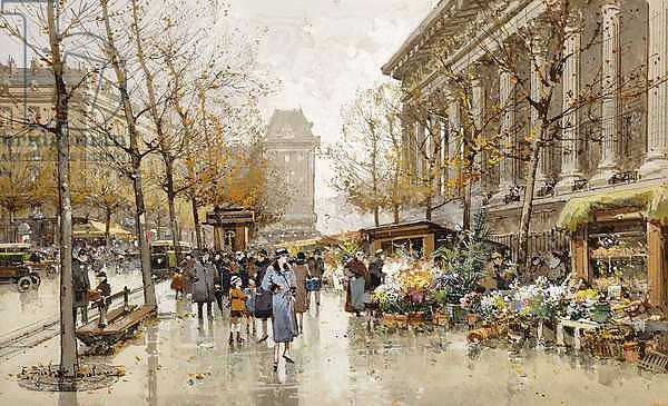 Paris Street in Autumn,