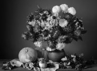 Черно-белое