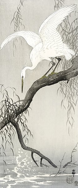Белая цапля на ветке дерева (1900 - 1910)