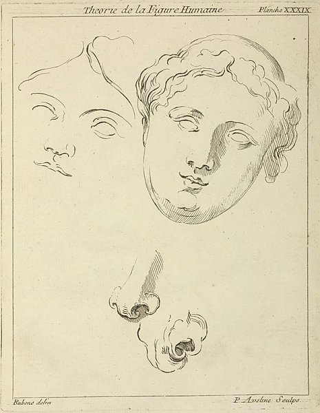 Two human female faces and two noses–one human, animal