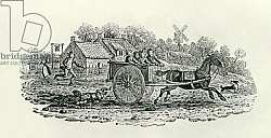 Постер Бевик Томас Runaway Cart from 'Land Birds, c. 1797 Постер Бевик Томас Runaway Cart from 'Land Birds, c. 1797
