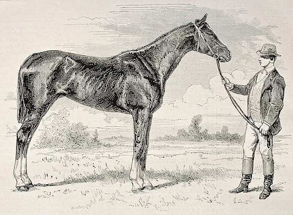 The Earl, winner of the Grad Prix de Paris in 1868. Created by Janet-Lange and Cosson-Smeeton, publi