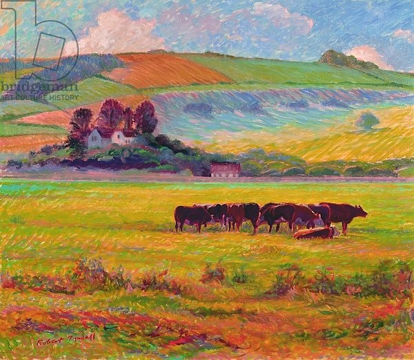 Evening Cattle, Cuckmere Valley, Sussex