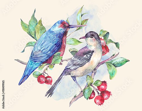 Две птицы на ветке с красными ягодами