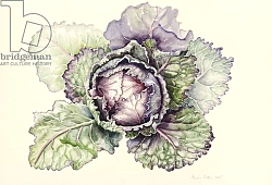 Постер Купер Алисон (бот) Cabbage from the market, 2015 Постер Купер Алисон (бот) Cabbage from the market, 2015