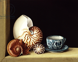 Постер Баррон Дженни Still life with Nautilus, 1998 Постер Баррон Дженни Still life with Nautilus, 1998
