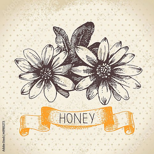 Иллюстрация с медовыми цветами