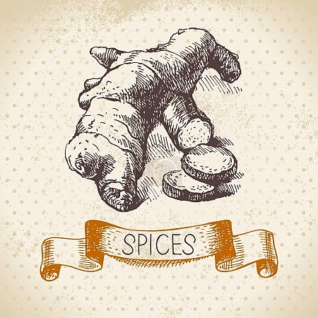 Иллюстрация с имбирем