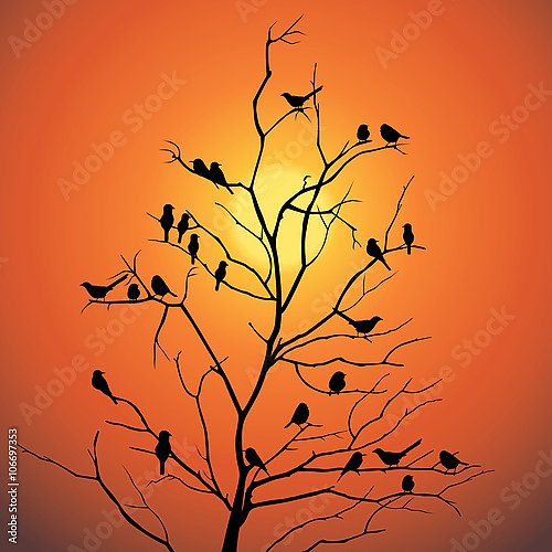 Дерево с птицами на фоне заката
