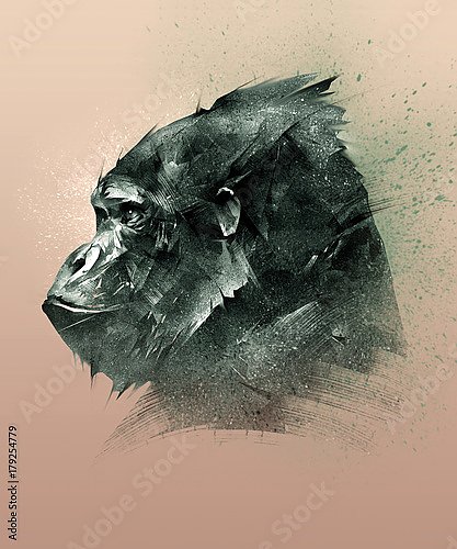 Иллюстрация головы обезьяны