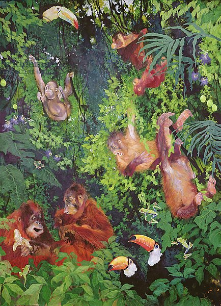 Orangutangs and Toucans, 1998
