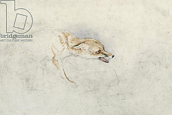Постер Льюис Джон Study of a crouching Fox, facing right verso: faint sketch of fox's head and tail Постер Льюис Джон Study of a crouching Fox, facing right verso: faint sketch of fox's head and tail
