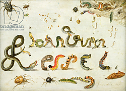Постер Кессель Ян Garden and other spiders, caterpillars spell the artist's name, 1657 Постер Кессель Ян Garden and other spiders, caterpillars spell the artist's name, 1657