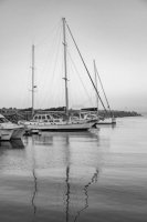 Черно-белое