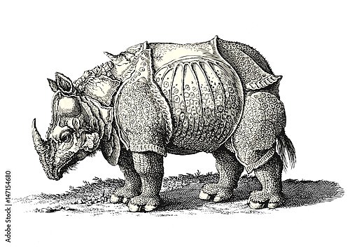 Стоковые фотографии по запросу Рисунок носорог