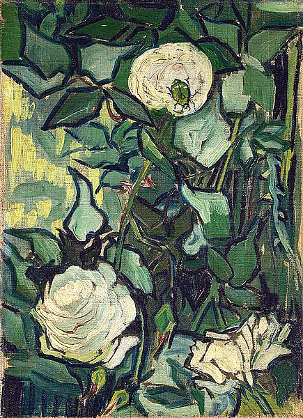 Розы и жук, 1890