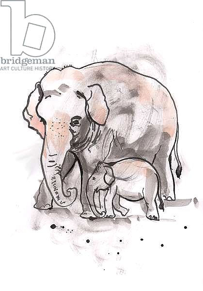 Elephant and Calf, 2014,