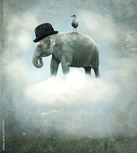 Постер Слон на облаке