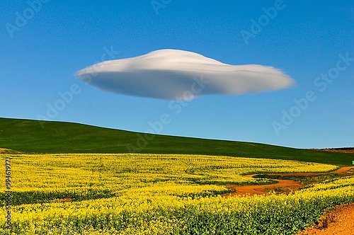  Линзообразное облако над полем, ЮАР