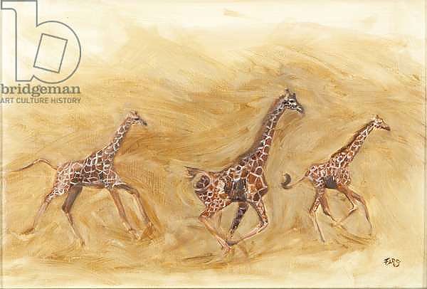Giraffe running, 2013