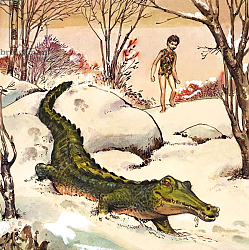 Постер Квинто Надир (дет) Peter follows the Crocodile, illustration from 'Peter Pan' by J.M. Barrie Постер Квинто Надир (дет) Peter follows the Crocodile, illustration from 'Peter Pan' by J.M. Barrie