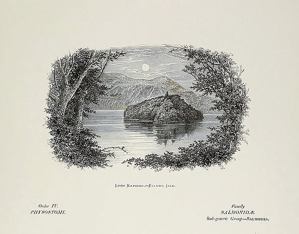 Loch Katrine — Ellen's Jsle