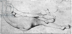 Постер Ингрес Джин Study for The Grande Odalisque Постер Ингрес Джин Study for The Grande Odalisque