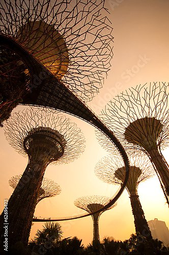 Силуэты супердеревьев в садах залива, Сингапур