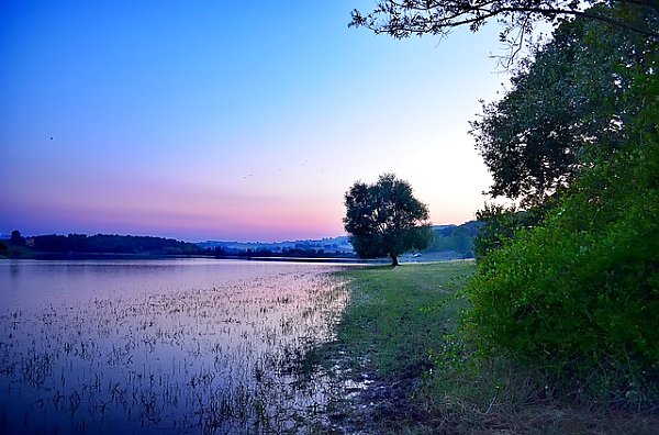 Розовый закат на берегу озера