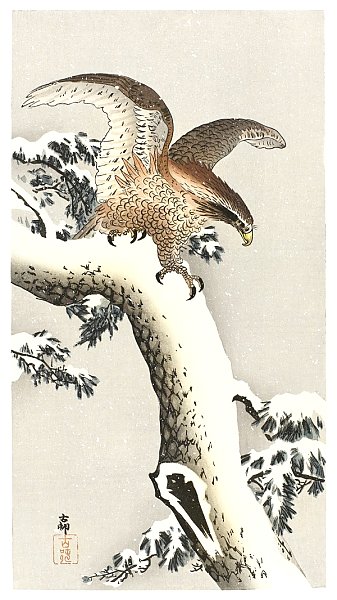 Орел на ветке дерева (1887 - 1930)