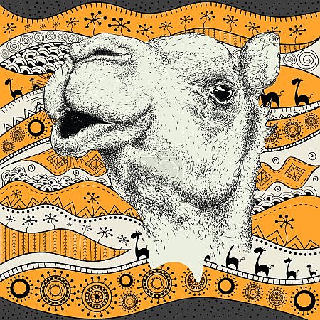 Голова верблюда на этническом узоре