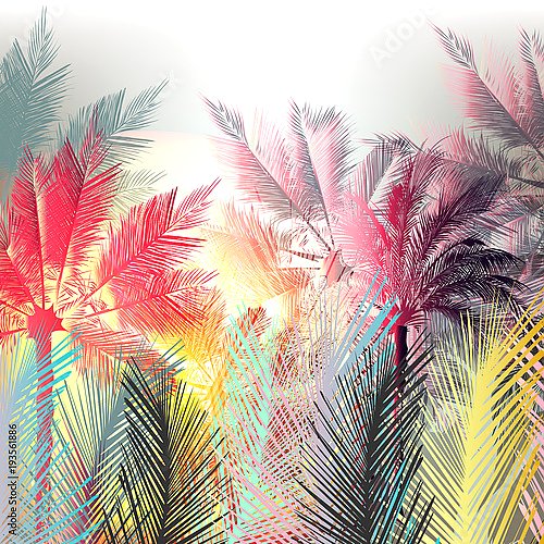Красочные пальмы и тропические растения