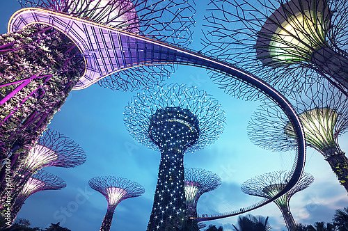 Роща супердеревьев в саду у залива в Сингапуре