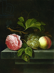 Постер Борман Иоханнес A Still Life with a Rose, Grapes and Peach, 17th century Постер Борман Иоханнес A Still Life with a Rose, Grapes and Peach, 17th century