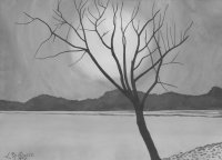 Черно-белое