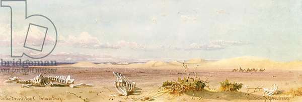 Sand Hills in the Desert, Cairo, Suez, 1859