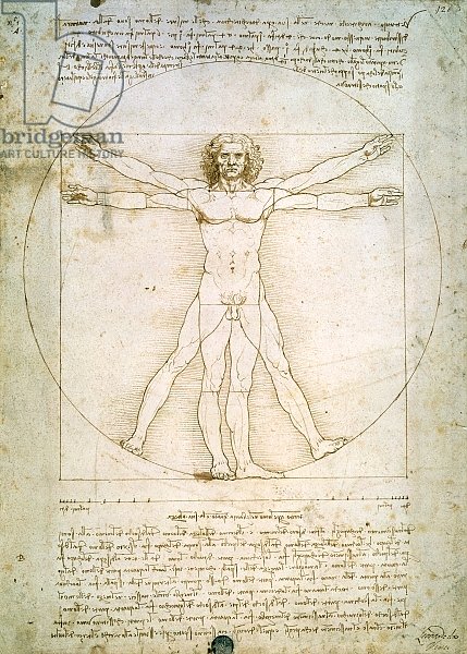 The Proportions of the human figure, c.1492
