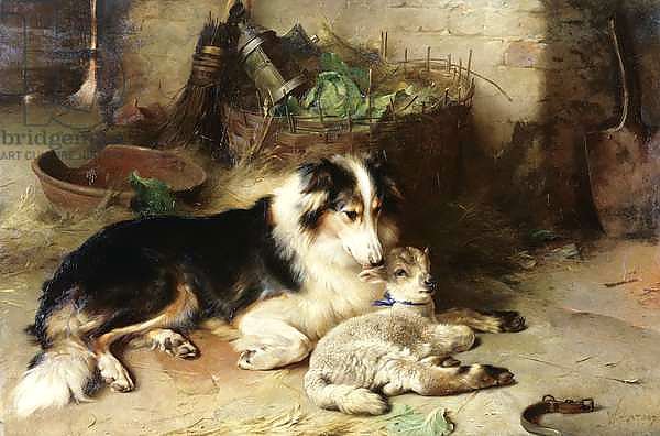 Motherless: The Shepherd's Pet, 1897