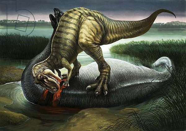 Allosaurus eating an Apatosaurus