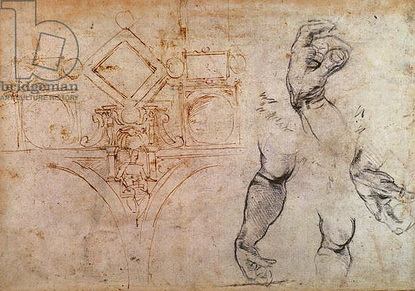 Scheme for the Sistine Chapel Ceiling, c.1508