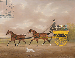 Постер Купер Эдвин A Gentleman driving Tandem to a Jaunting Car Постер Купер Эдвин A Gentleman driving Tandem to a Jaunting Car