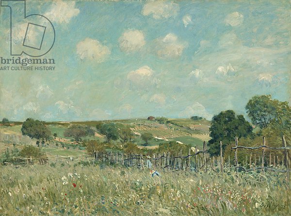 Meadow, 1875