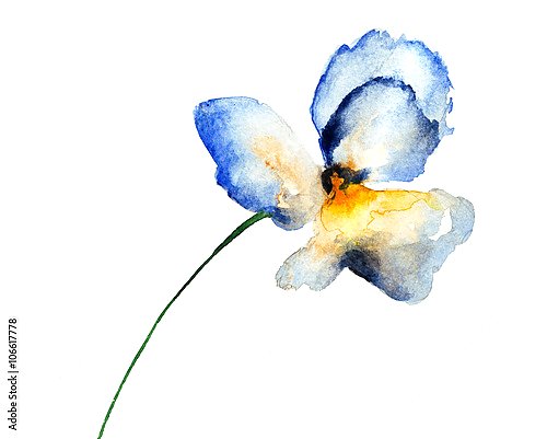 Голубой цветок анютиных глазок